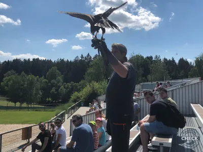 Foto aus Bayern-Park von Sessel