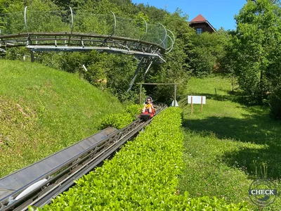 Foto aus Eifelpark von Highnoon