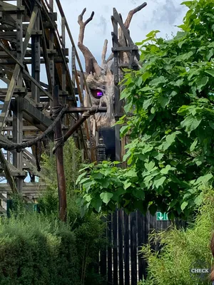 Foto aus Heide Park von kitti1984