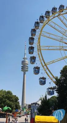 Foto aus München - Olympiapark Sommerfestival von Mukkel
