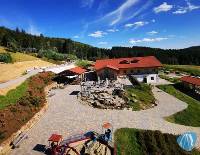 Foto aus Edelwies von Kurenai