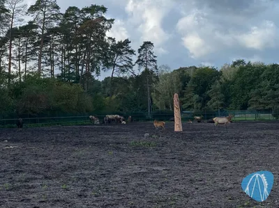 Foto aus Serengeti-Park von Highnoon