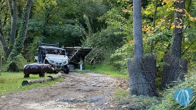 Foto aus Serengeti-Park von Highnoon