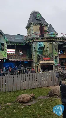 Foto aus Heide Park von ruud88