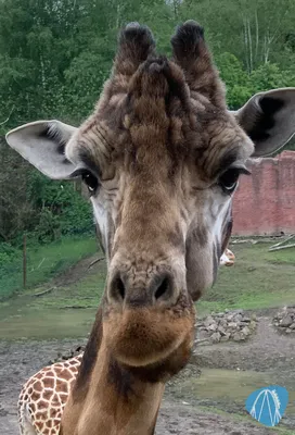 Foto aus ZOOM Erlebniswelt von Stefan