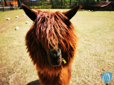 Foto aus Magic Park Verden von Kurenai