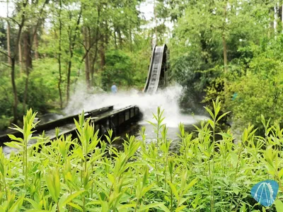 Foto aus Magic Park Verden von Kurenai