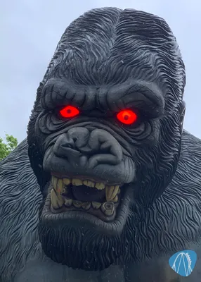 Foto aus Bobbejaanland von Stefan
