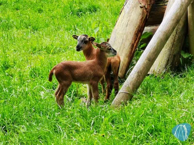 Foto aus Bayern-Park von Kurenai