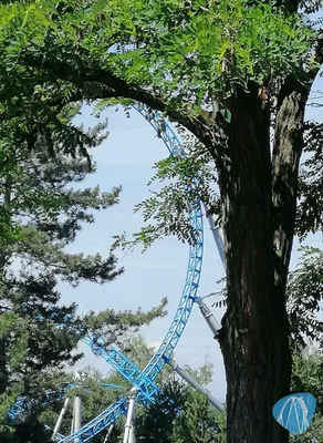 Foto aus Europa-Park von Rolala