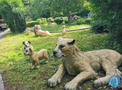 Foto aus Pretpark de Valkenier 🔒 von Kurenai