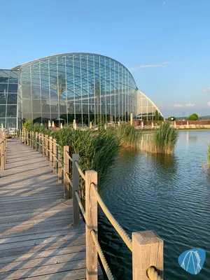 Foto aus Thermen & Badewelt Sinsheim von Annika