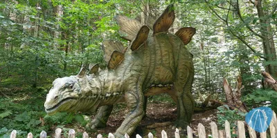 Foto aus Freizeitpark Ruhpolding von Tripsdrillfan