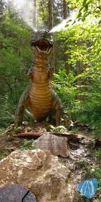 Foto aus Freizeitpark Ruhpolding von Tripsdrillfan