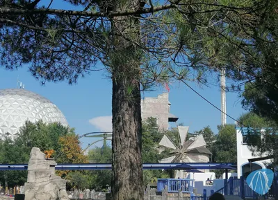 Foto aus Europa-Park von Rolala