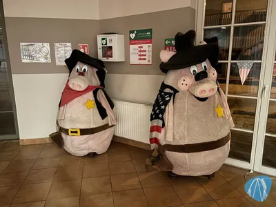 Foto aus Twinpigs von ahoiseemann