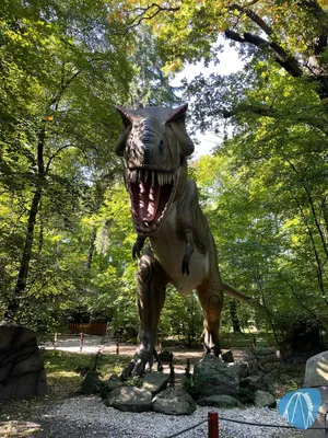 Foto aus Zatorland von ahoiseemann