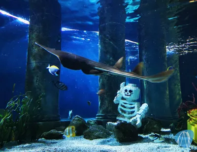 Foto aus LEGOLAND® Billund von Kurenai