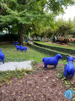 Foto aus Europa-Park von Ralcos
