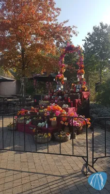 Foto aus Toverland von Hidi83