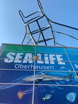 Foto aus SEA LIFE Oberhausen von Annika