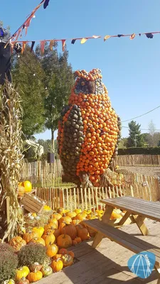 Foto aus Toverland von Hidi