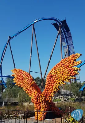Foto aus Toverland von Hidi