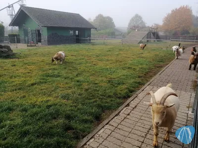 Foto aus Wild- & Freizeitpark Klotten von Rolala
