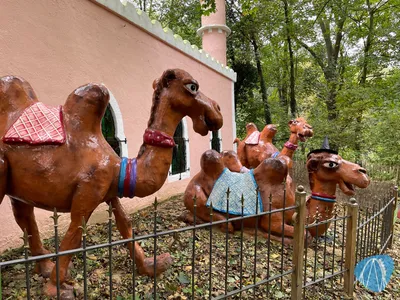 Foto aus Sprookjesbos Valkenburg von ahoiseemann