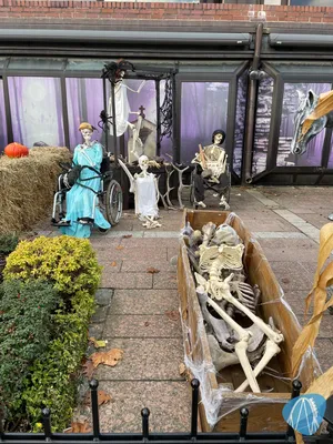 Foto aus Heide Park von ahoiseemann