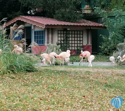 Foto aus Freizeit-Land Geiselwind von Rolala