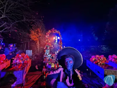 Foto aus Toverland von Soeren92