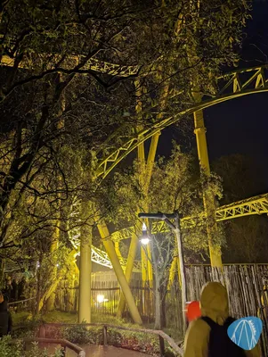 Foto aus Toverland von Soeren92