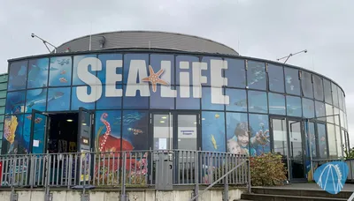 Foto aus SEA LIFE Königswinter 🔒 von Marco