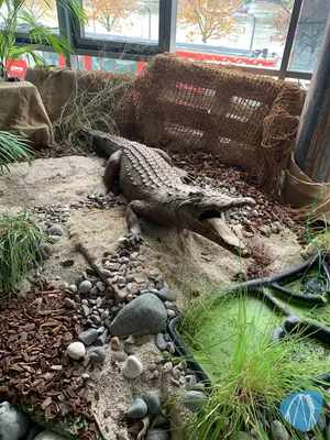 Foto aus SEA LIFE Königswinter 🔒 von Marco