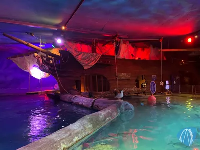 Foto aus SEA LIFE Königswinter 🔒 von Marco