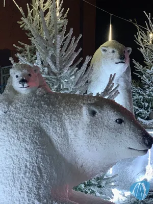 Foto aus Wunderland Kalkar von Annika