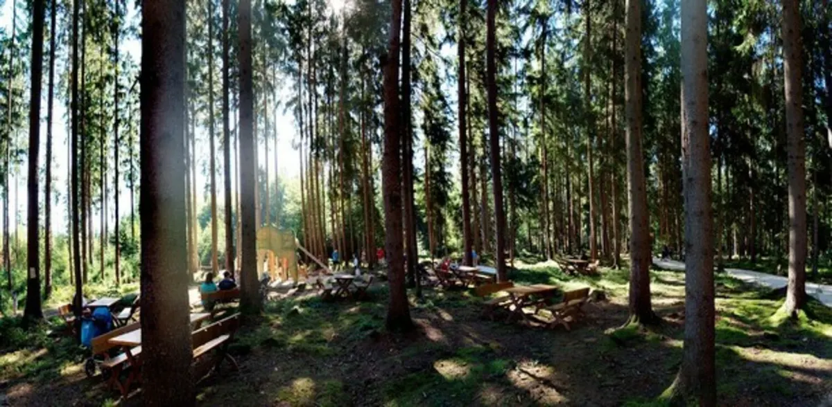 Waldspielplatz