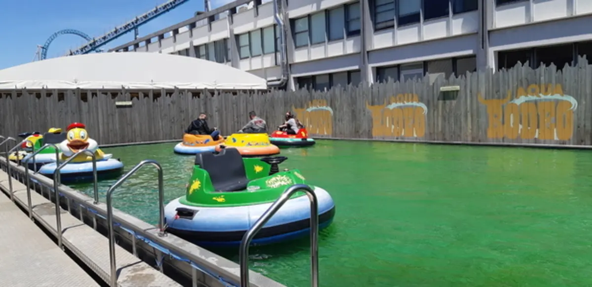 Aqua Rodeo