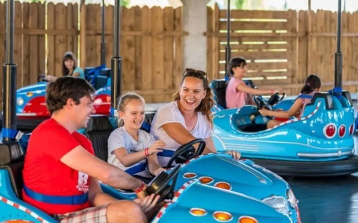 Bumper Cars