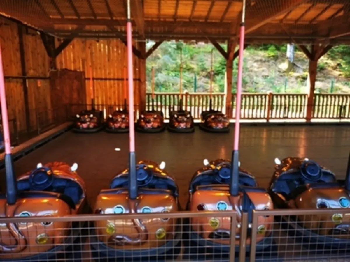 Les Bisons Rusés