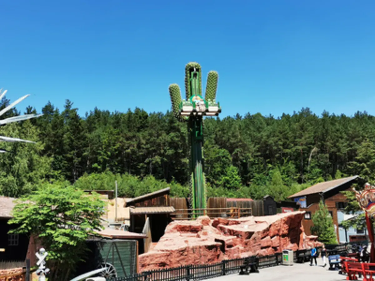 Le Cactus