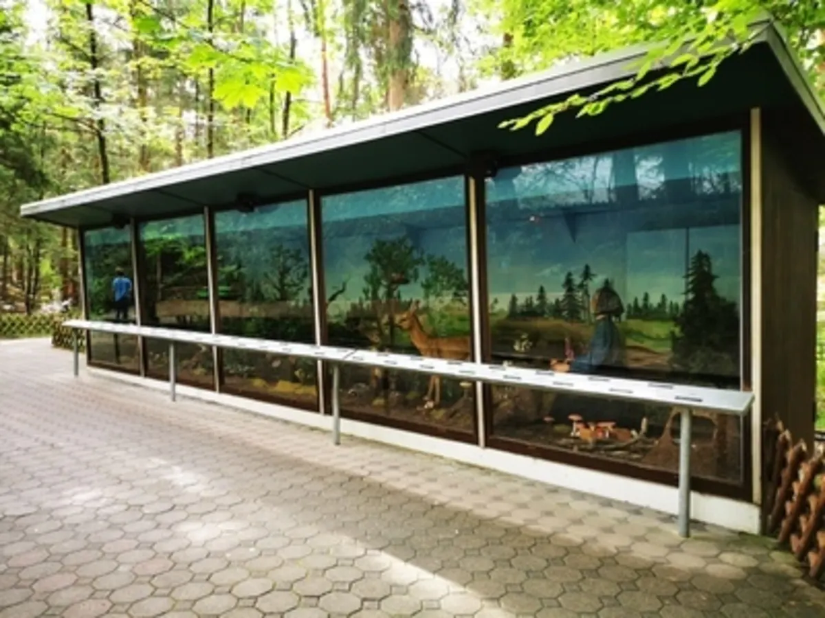 Waldschule