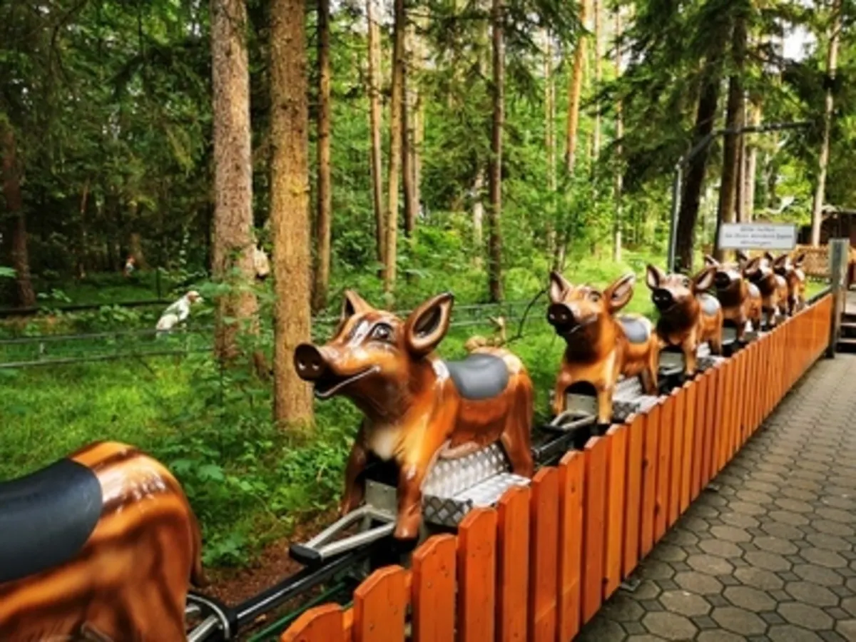 Wildsaureitbahn