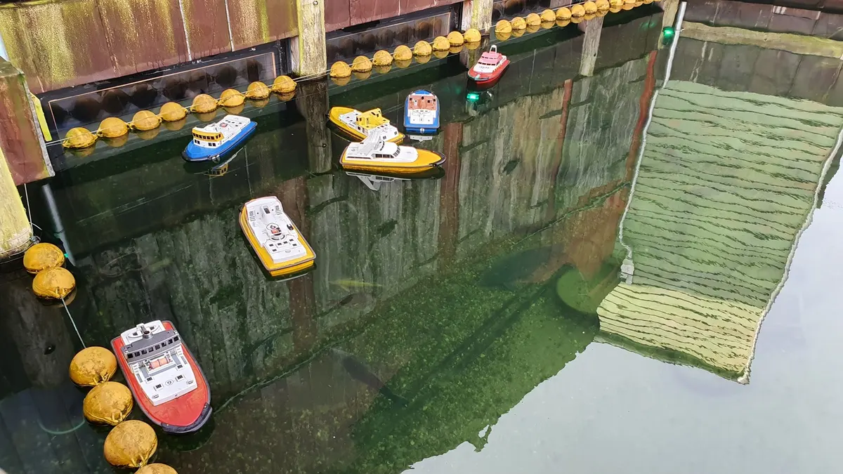Ferngesteuerte Boote