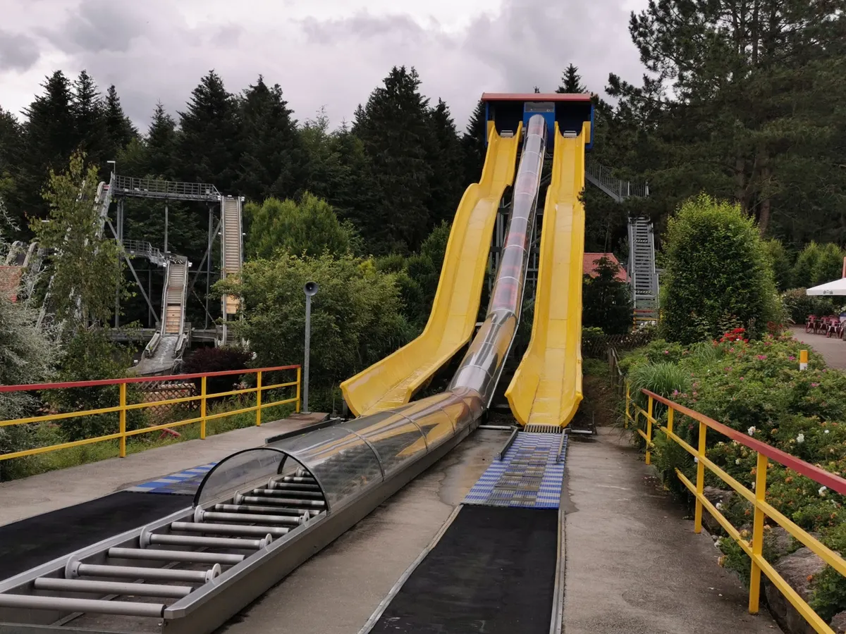 Wellenreiter