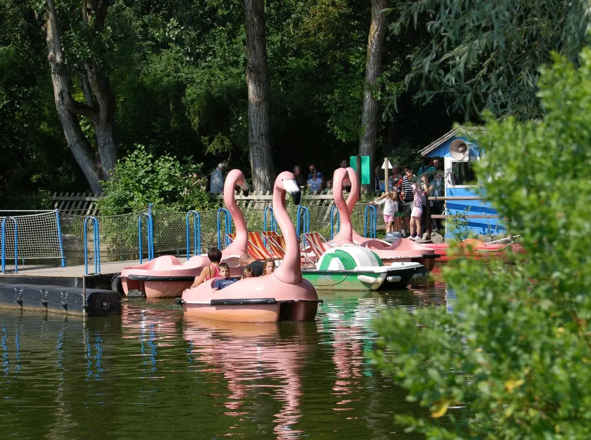 Les Flamingos