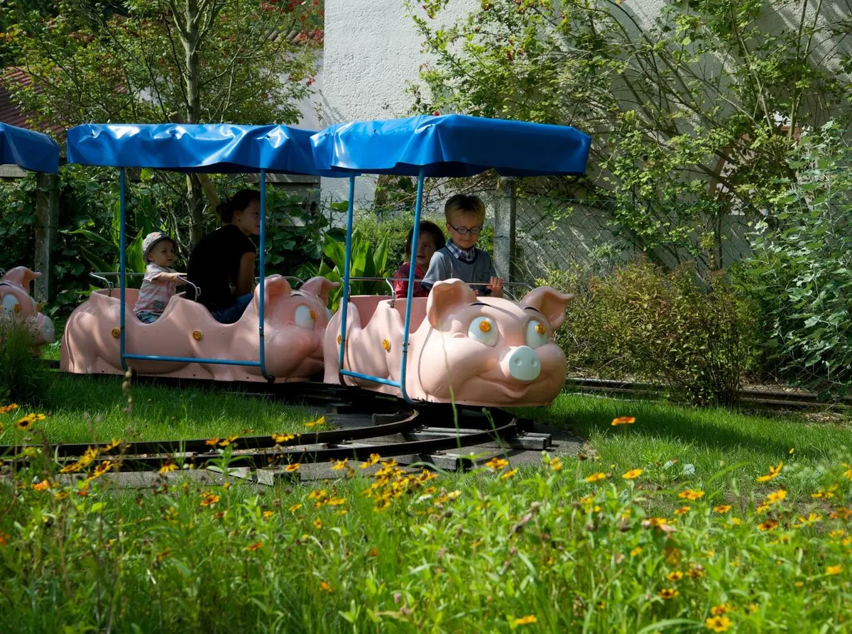 Les Cochons