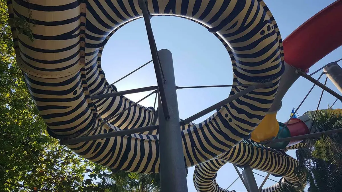 Total-Zebra