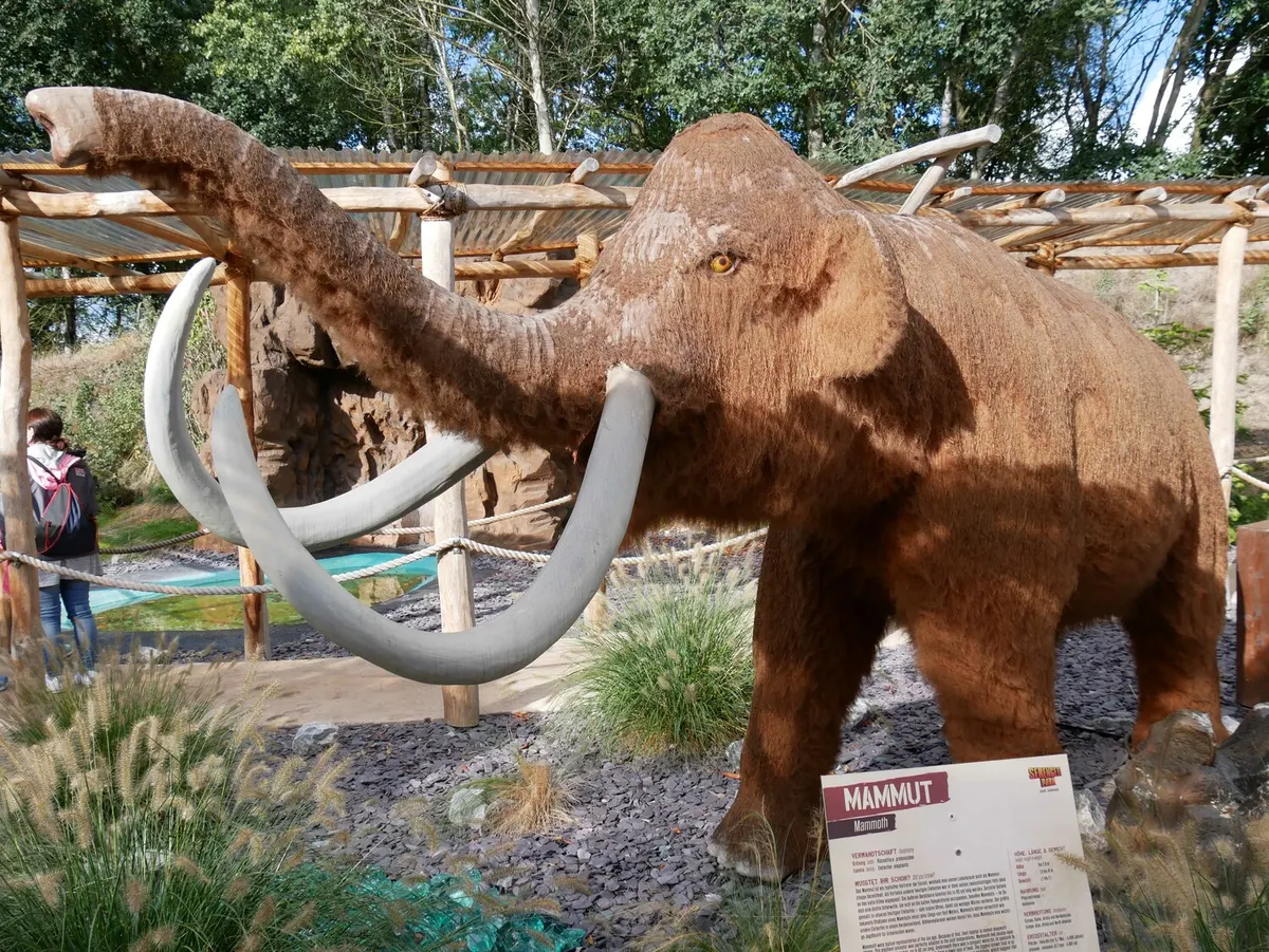 Eiszeit-Safari